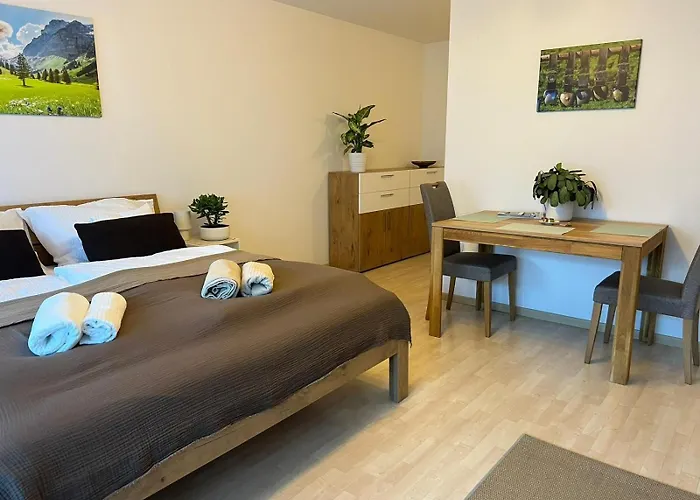 P51 公寓 巴特莱辛哈尔