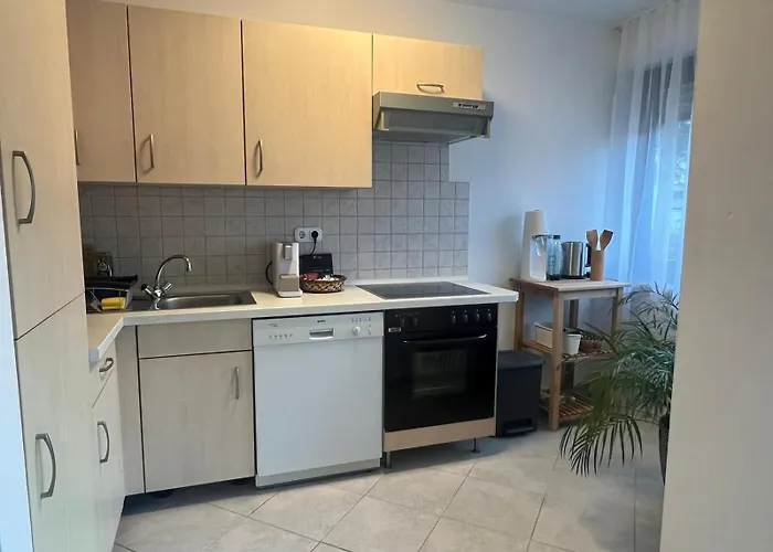 P51 巴特莱辛哈尔